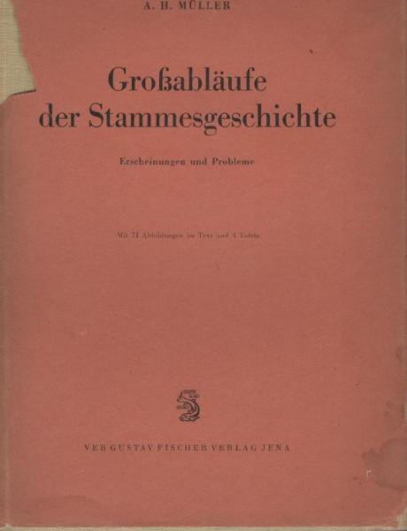 Großabläufe der Stammesgeschichte : Erscheingn u. Probleme.