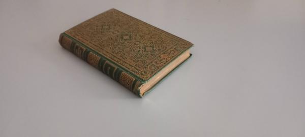 Gesammelte Schrifte. Bd. 3., Neues von Leberecht Hühnchen und anderen Sonderlingen