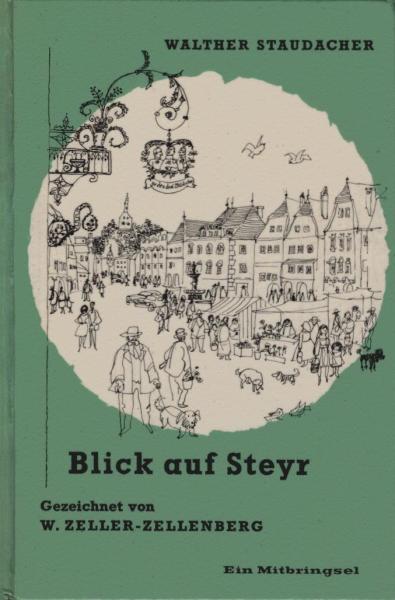Blick auf Steyr.
