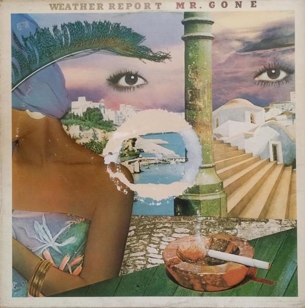 Mr. Gone [Vinyl, LP, Album]