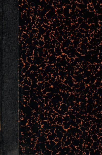 Wanderbuch eines Ingenieurs - in Briefen. Europa, Afrika und Asien.