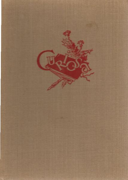 Curiosa : merkwürdige Zeichn. aus d. 19. Jh.
