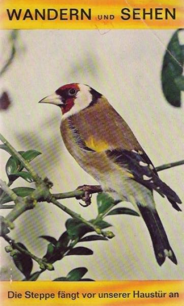 Die Steppe fängt vor unserer Haustür an.