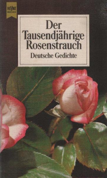 Eine kleine Weihnachtsgeschichte und andere Erzählungen um die Heilige Nacht.