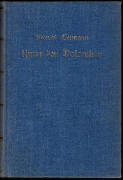 Unter den Dolomiten : Roman.