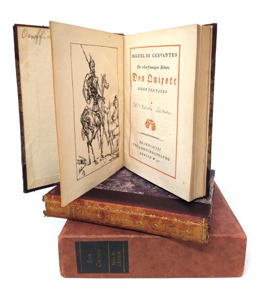 Des scharfsinnigen Ritters Don Quixote Leben und Taten (2 Bände im Schuber)