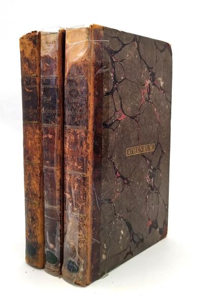 Das Pabstthum im Widerspruch mit Vernunft, Moral und Christenthum, nachgewiesen in seiner Geschichte von Antiromanus. Mit einer Einleitung: die Geschichte der Verfassung der christlichen Kirche, und mit verschiedenen kirchlichen und kirchenstaatsrechtlich