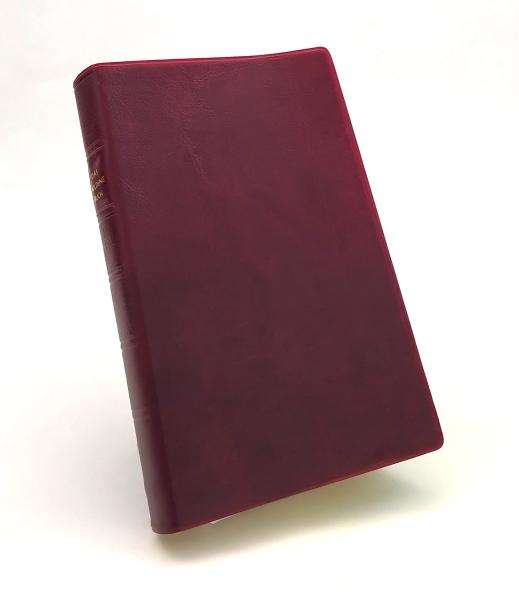 Das goldene Buch der vollkommenen Hingabe an Jesus durch Maria.