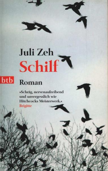 Schilf : Roman.
