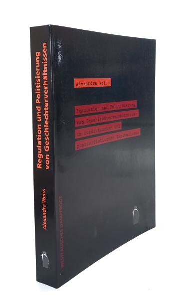 Regulation und Politisierung von Geschlechterverhältnissen im fordistischen und postfordistischen Kapitalismus.