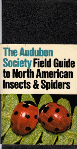 The Audubon Society field guide to North American insects and spiders