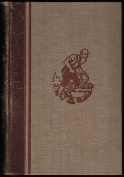 Die Wetterstädter : Geschichtl. Roman.