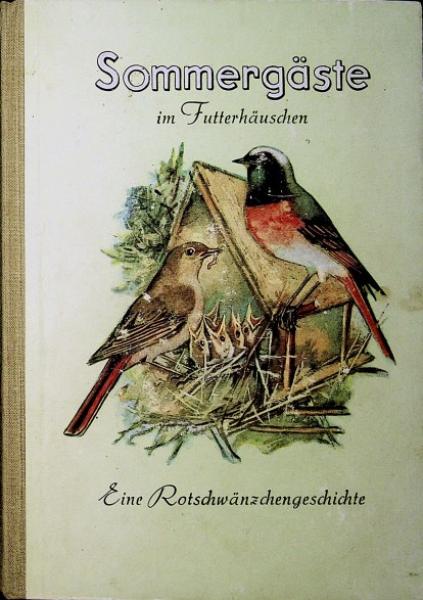 Sommergäste im Futterhäuschen : Eine Rotschwänzchengeschichte.