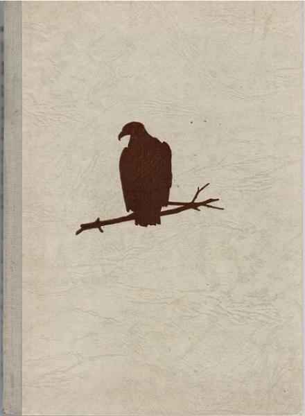 Deutsche Raubvögel.