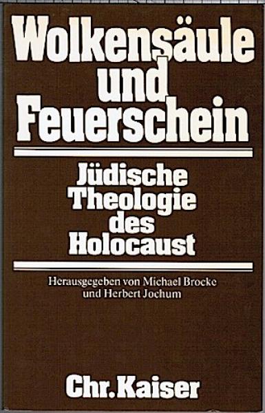 Wolkensäule und Feuerschein. Jüdische Theologie des Holocaust.