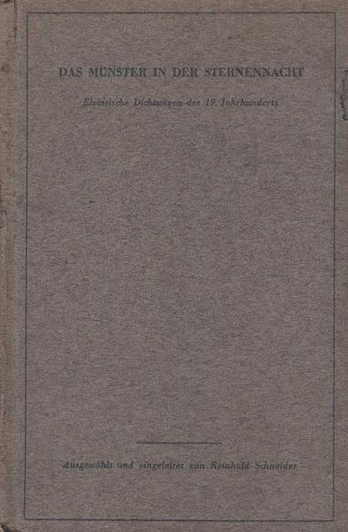 Das Münster in der Sternennacht.