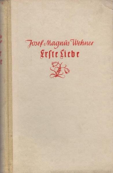 Erste Liebe : Roman aus d. Jugendzeit