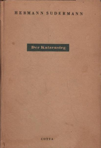 Der Katzensteg : Roman