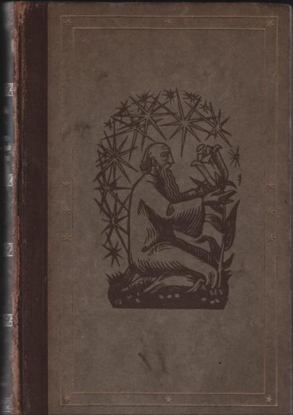 Der Wanderer zwischen Staub und Sternen