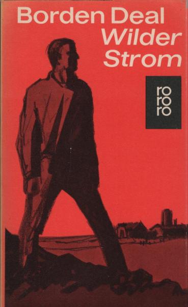Wilder Strom : Roman