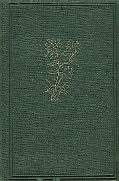 Begegnung mit dem Mädchen