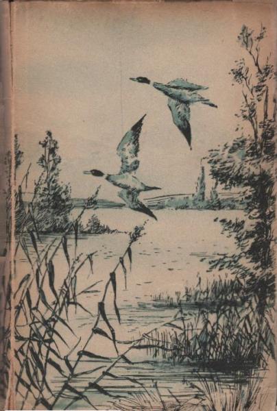 Sommer im Holmenland : Roman