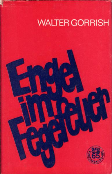 Engel im Fegefeuer : Erzählung / Walter Gorrish