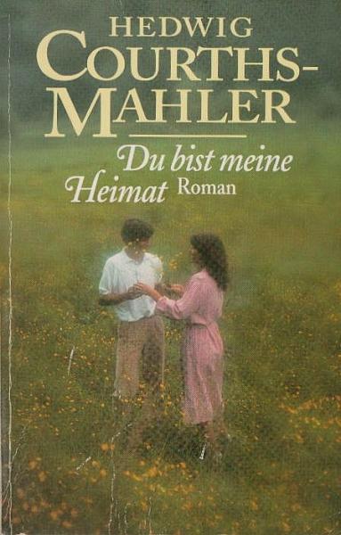 Du bist meine Heimat: Roman.