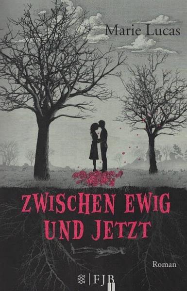 Zwischen Ewig und Jetzt : Roman.