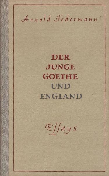 Der junge Goethe und England : Essays.