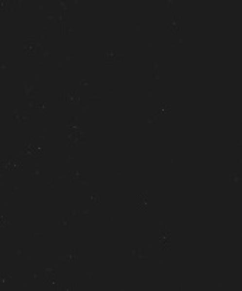 Allwissend : Roman ; [Thriller].