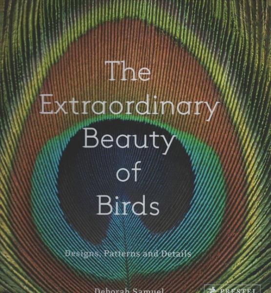 The extraordinary beauty of birds : designs, patterns and details