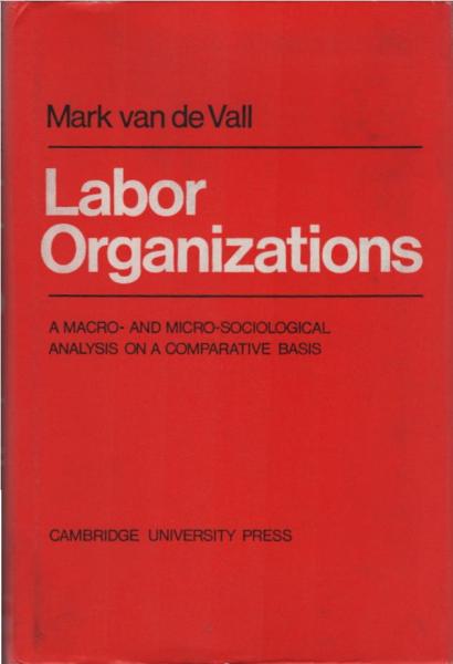 Labor organizations : a macro- and micro-sociological analysis on a comparative basis