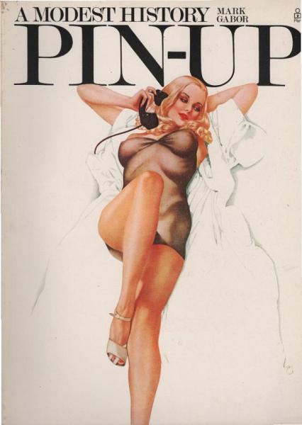 The pin - up : a modest history
