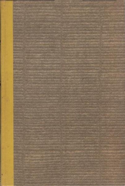 Flucht aus Schanghai : Roman.