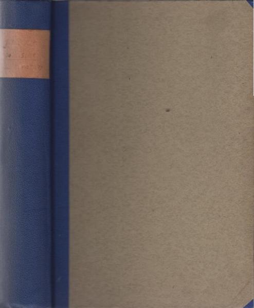 Geschichte der polnischen Litteratur.