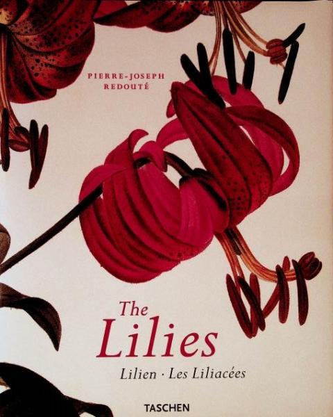 The lilies = Lilien.