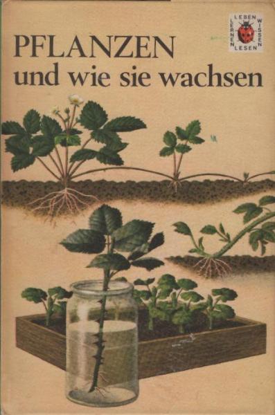 Pflanzen und wie sie wachsen.