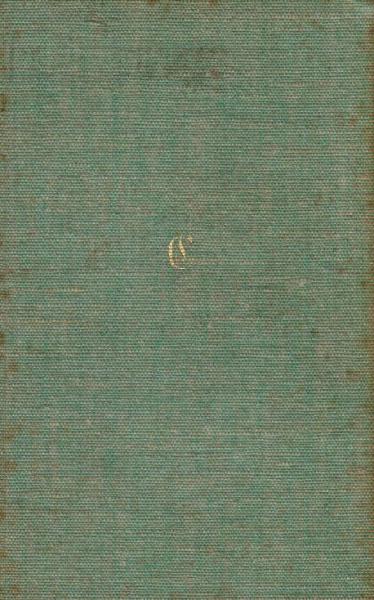 Der Arzt Gion : Eine Erz.