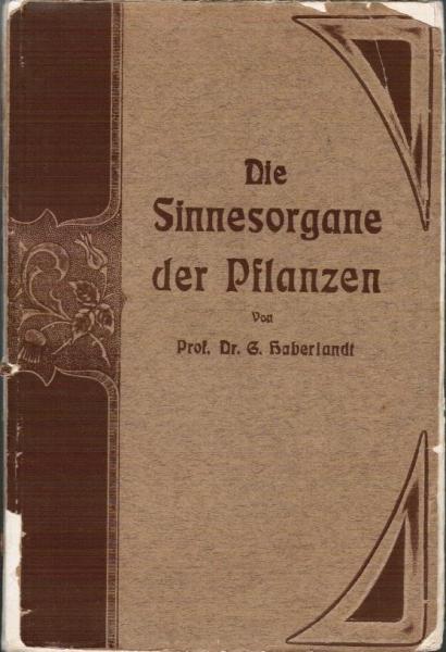 Die Sinnesorgane der Pflanze: Ein Vortrag.