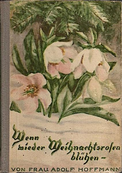 Wenn wieder Weinachtsrosen blühen!