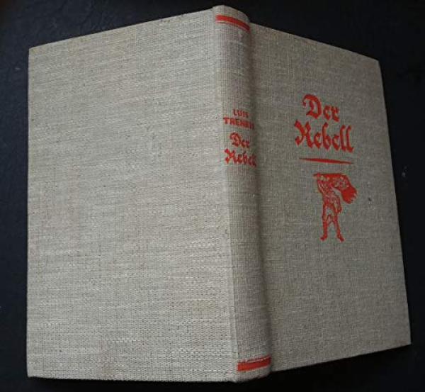 Der Rebell : Ein Freiheitsroman aus d. Bergen Tirols.
