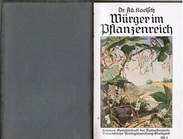 Würger im Pflanzenreich.