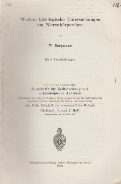 Weitere histologische Untersuchungen am Nierenkörperchen.