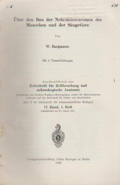 Über den Bau der Nebennierenvenen des Menschen und der Säugetiere.